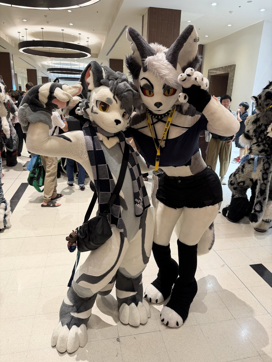 ✨ Phoebe 🐭✨ 🔜 Thai Tails, LVFC tweet media