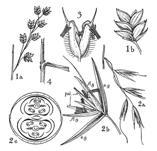 arcedon prez tweet media