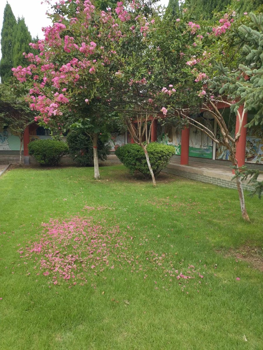 Büşra Şanlı tweet media