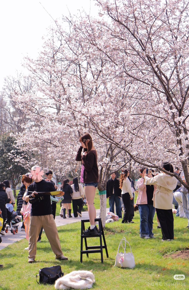 vv hou（互fo） tweet media