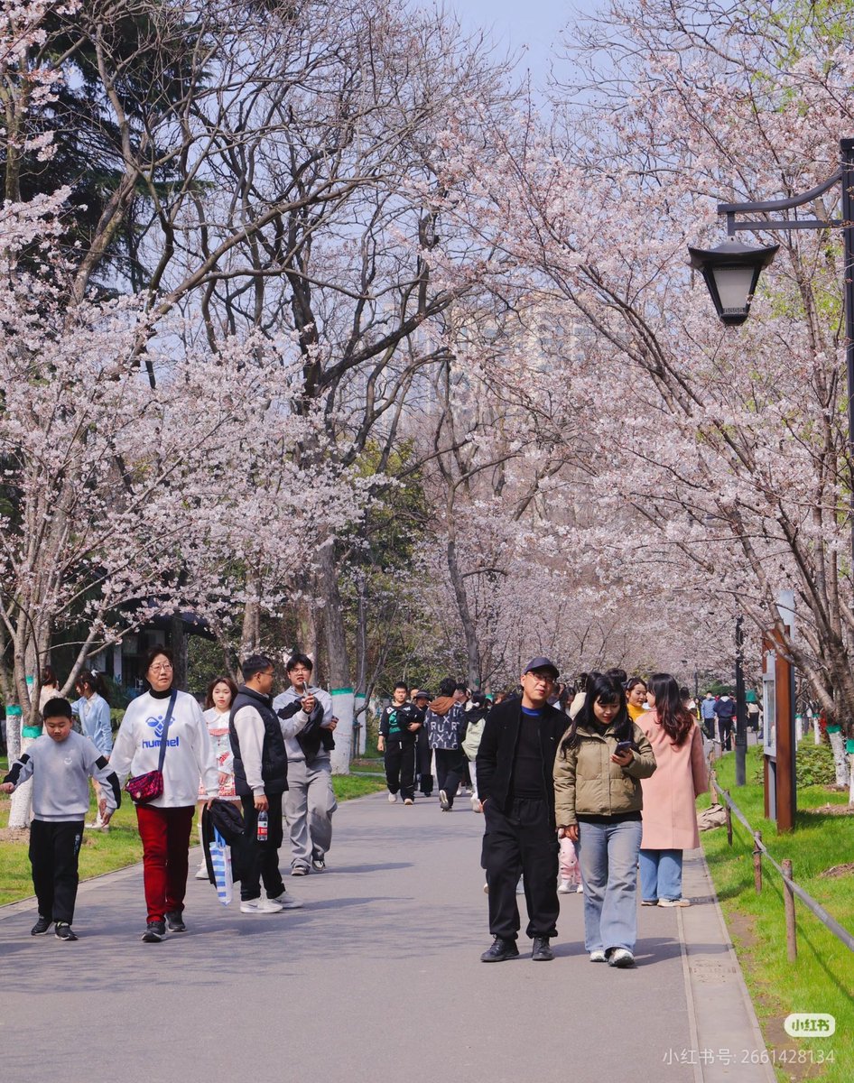 vv hou（互fo） tweet media