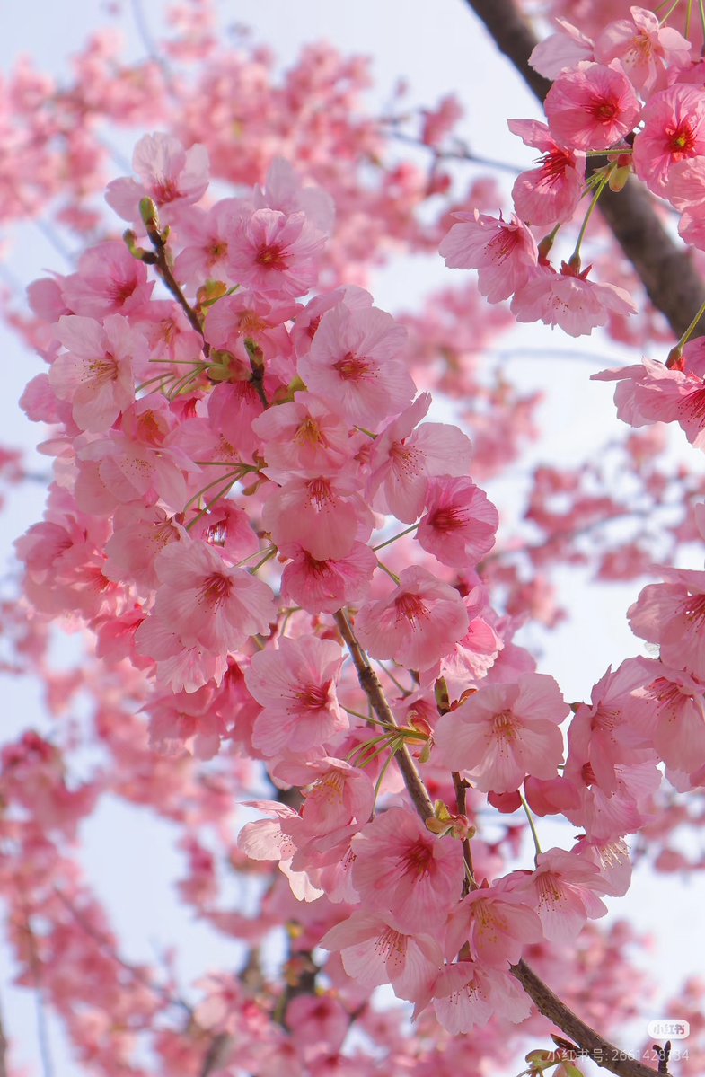 vv hou（互fo） tweet media