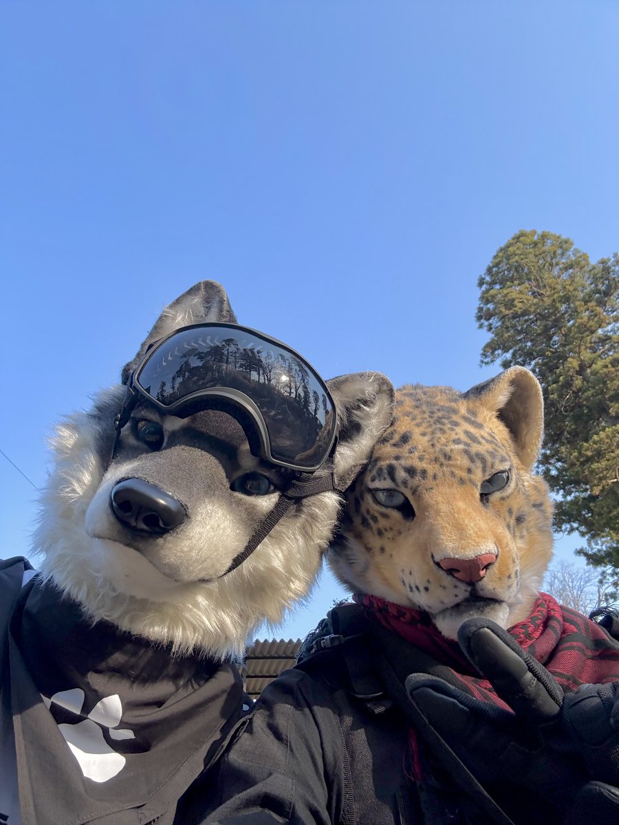 バロン(Baron)/獅子ノ（sisino） tweet media