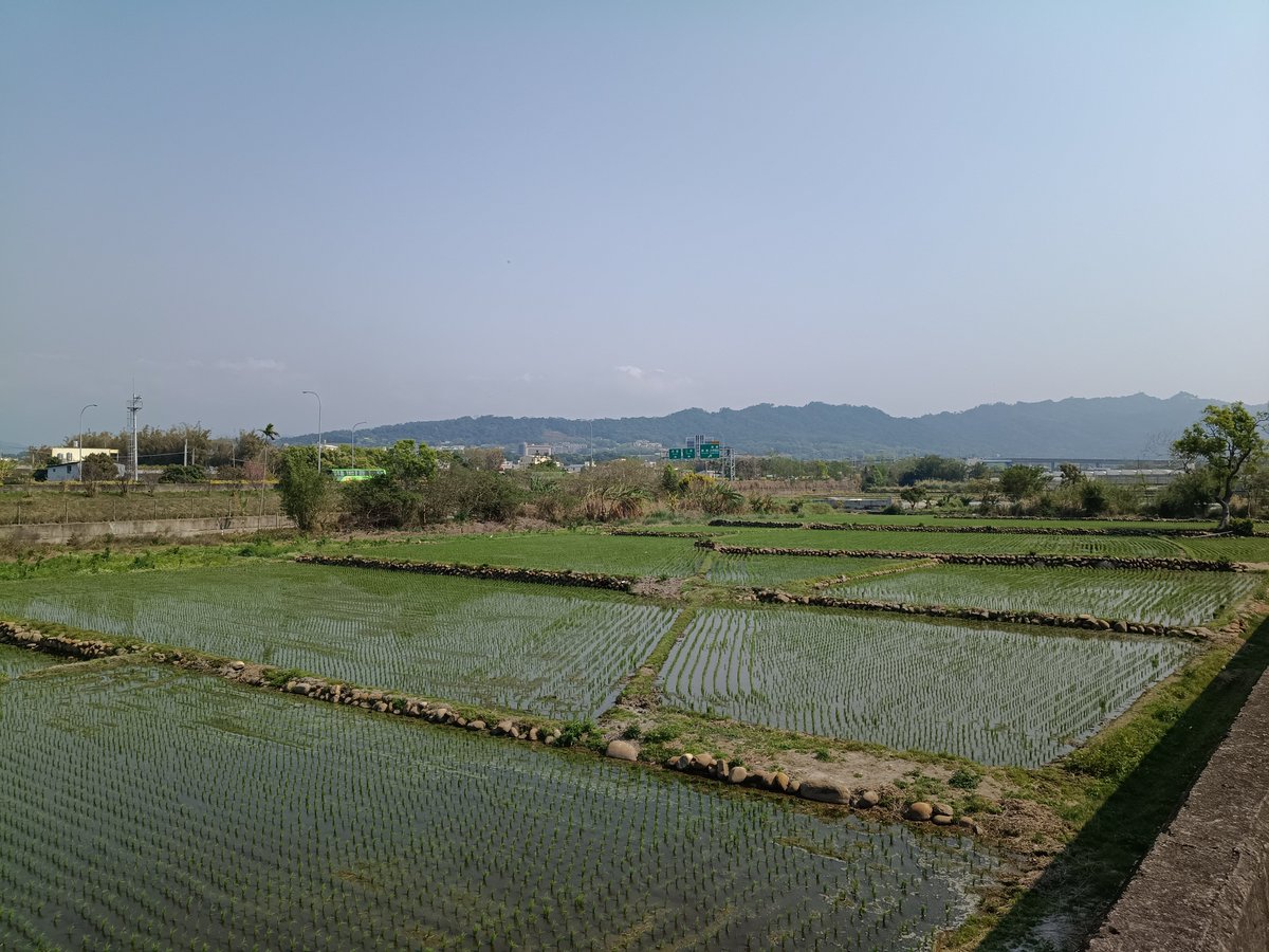 黒色中国(台湾徒歩一周中) tweet media