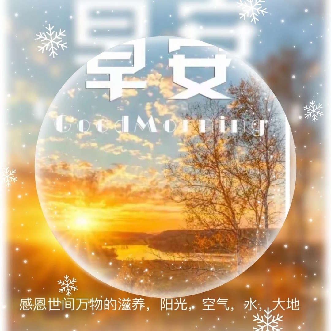 Noddy Zhuang tweet media