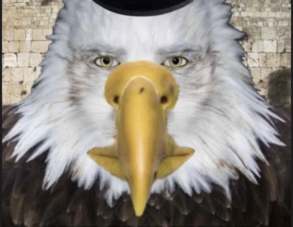 Eitan Chatav tweet media