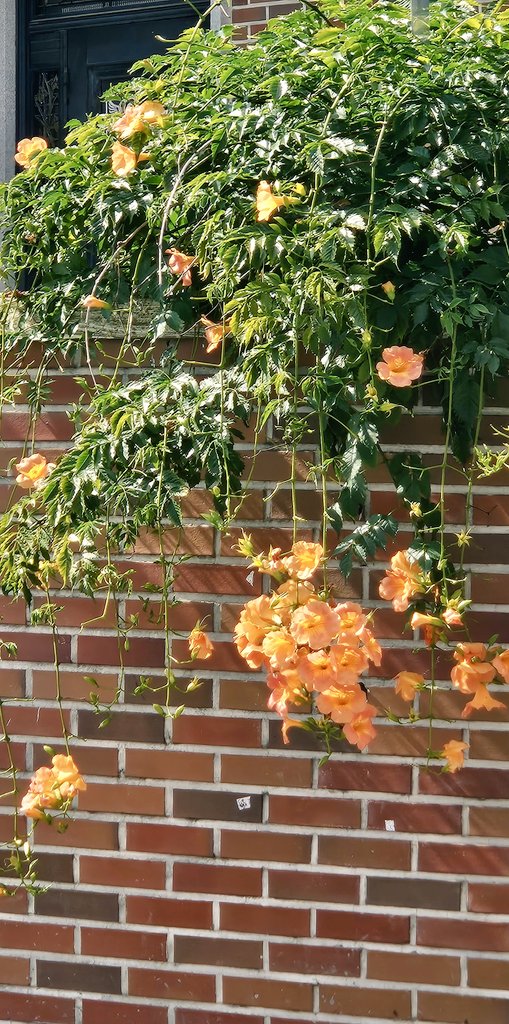 아씨발 tweet media