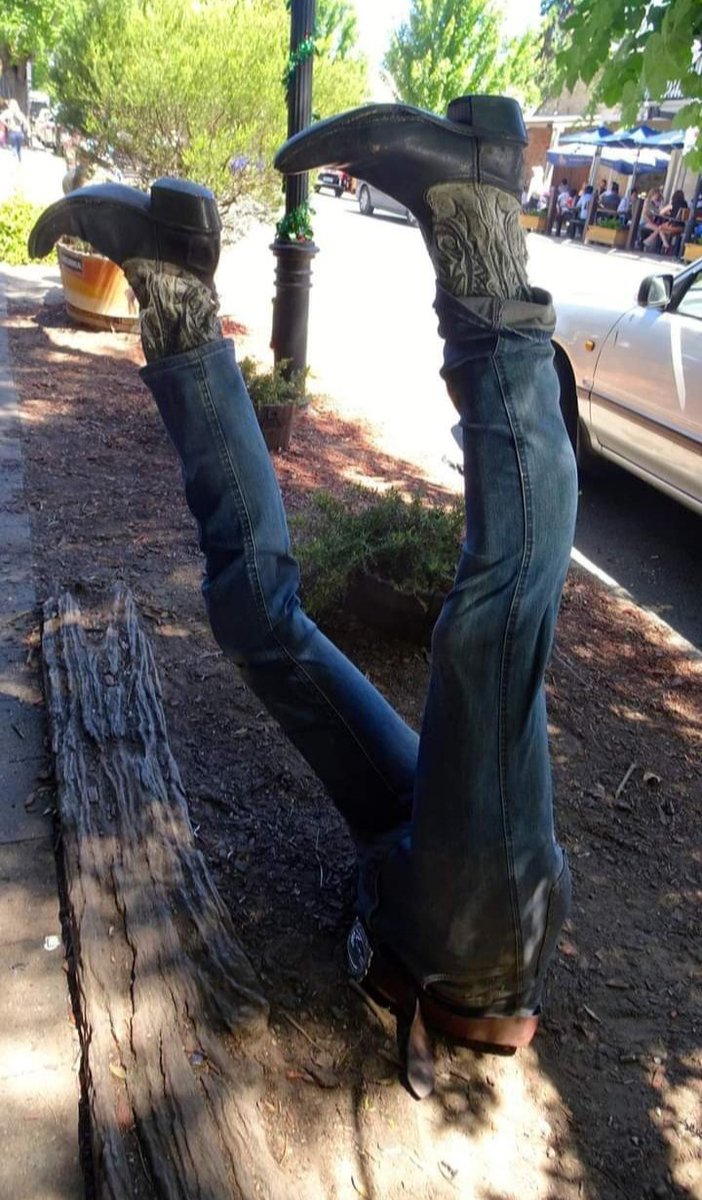 abrakadabra tweet media