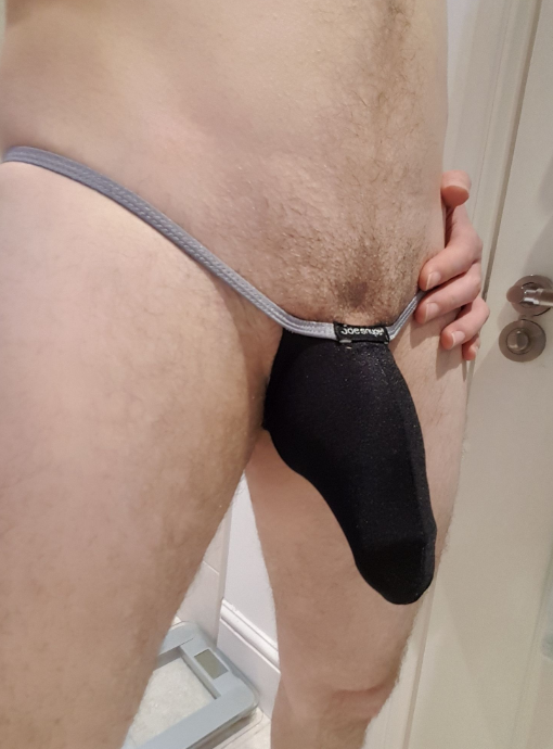 YorkshireFun tweet media