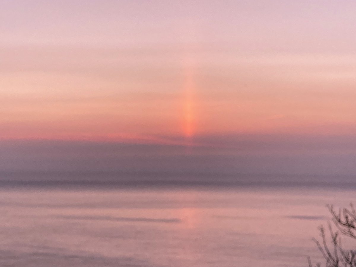 Faith Young Writer tweet media