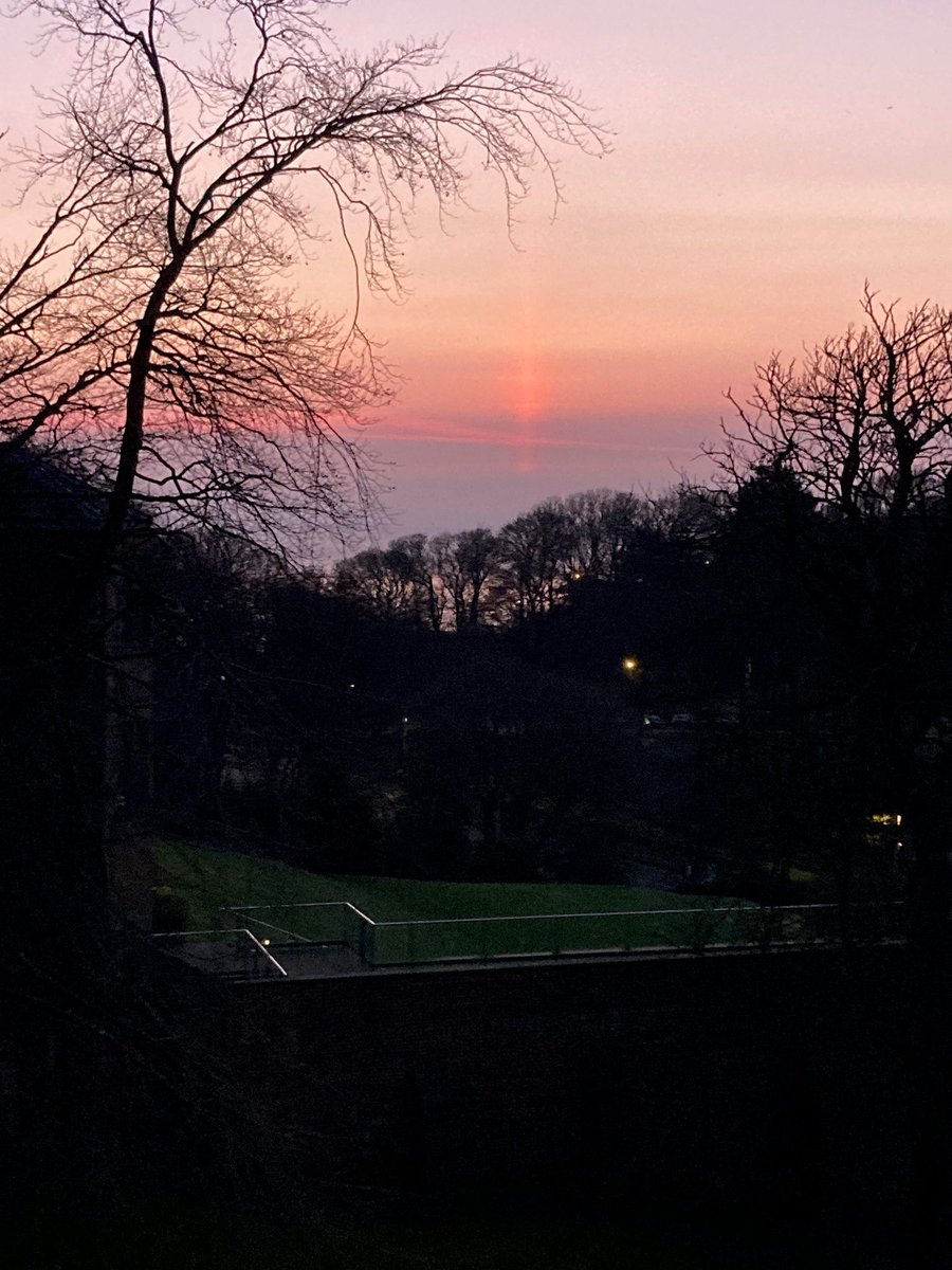 Faith Young Writer tweet media