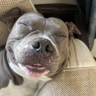 mrbhide's tweet photo. #NewProfilePic https://t.co/Okx3zImgOZ