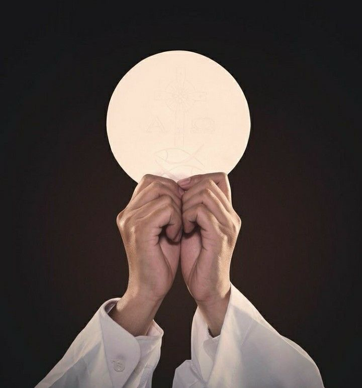 𝚕𝚒𝚝𝚝𝚕𝚎 𝚘𝚗𝚎 ♱🇻🇦 tweet media