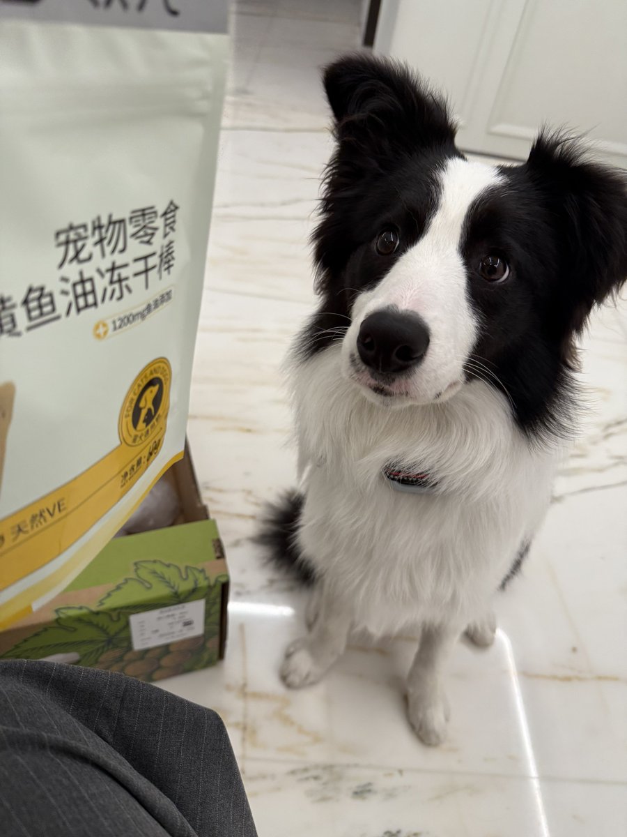 Hakiiiii！ tweet media