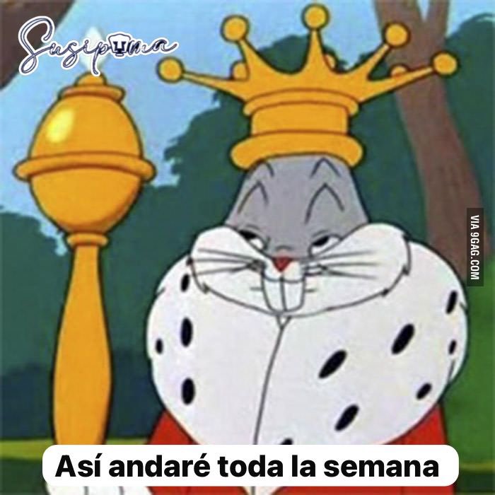 SusiPuma tweet media