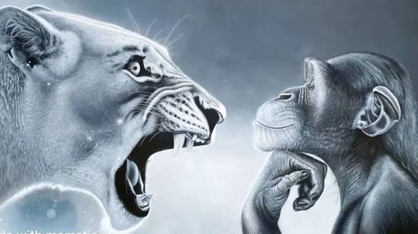 Matt Pearson tweet media