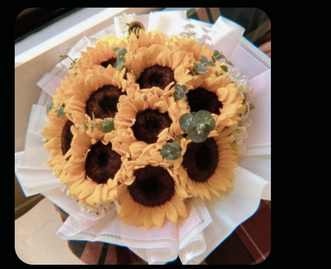 Dálienne de Haku ៹ tweet media