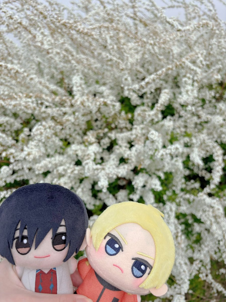 もちru tweet media