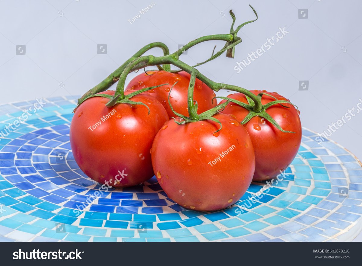 Karen Finken tweet media