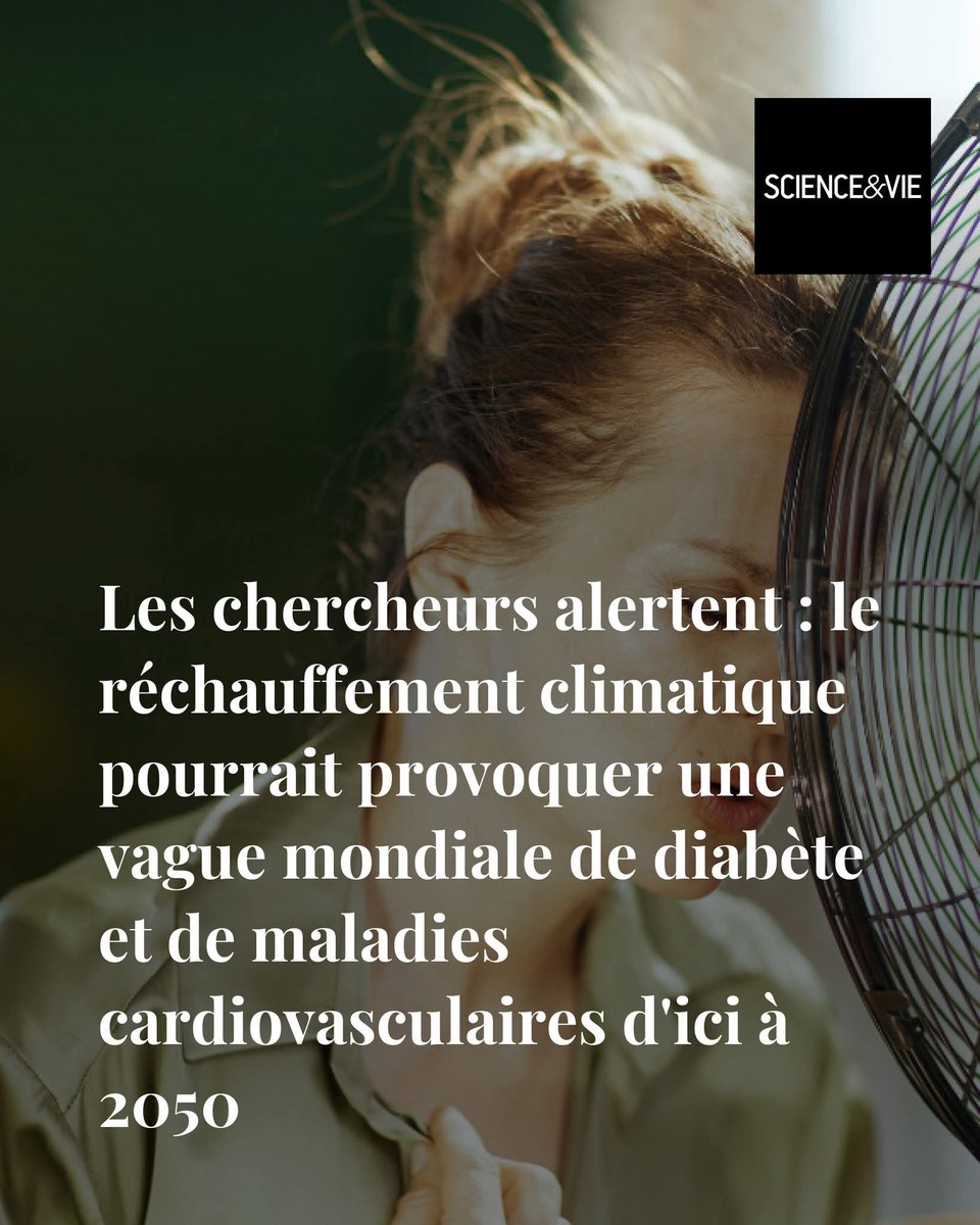 Sylvain J. tweet media