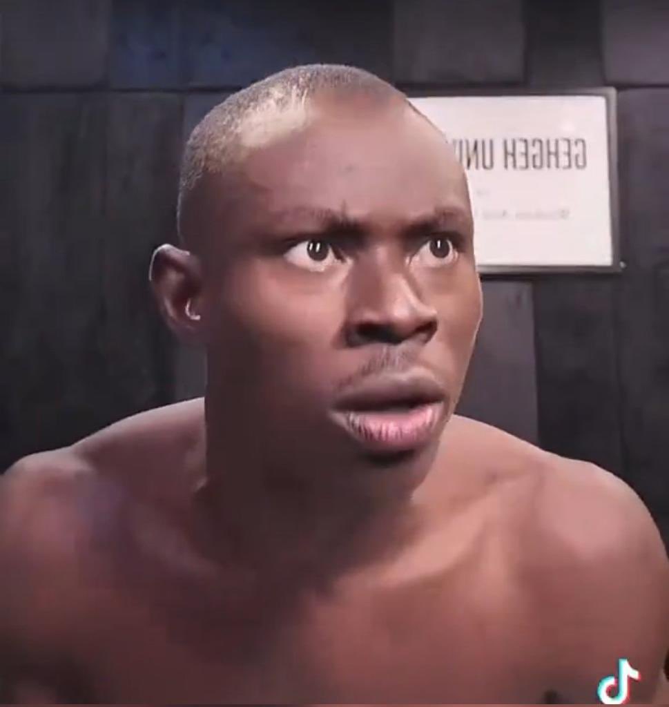 Filbert S T A R K tweet media