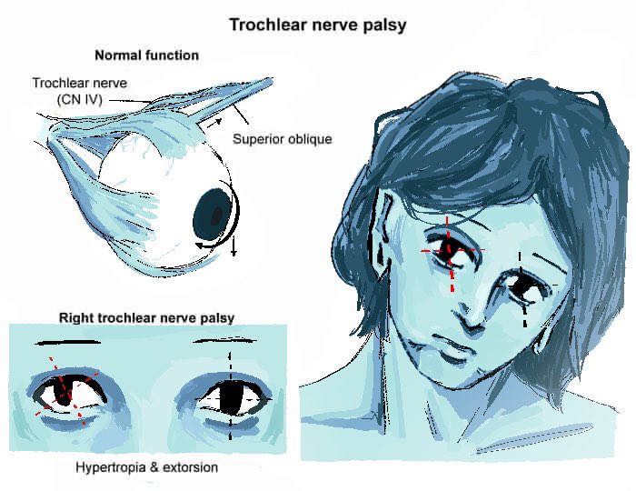 ジマミ tweet media