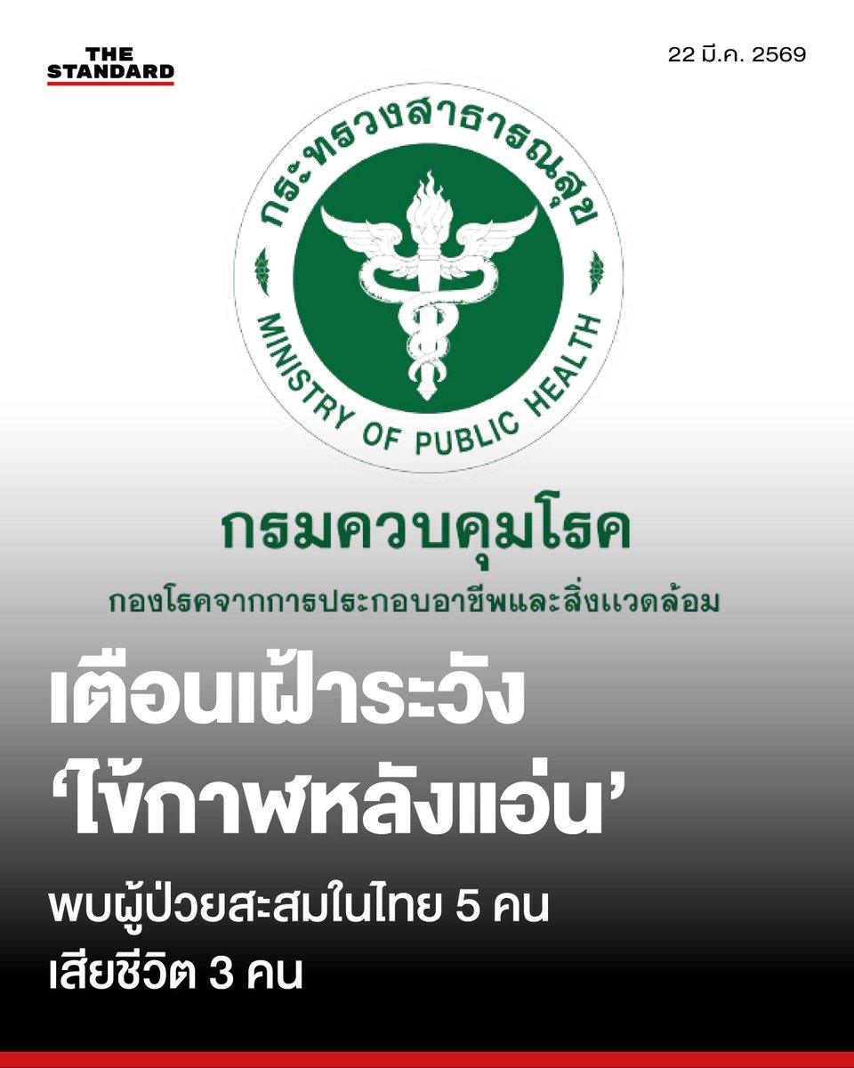 THE STANDARD tweet media