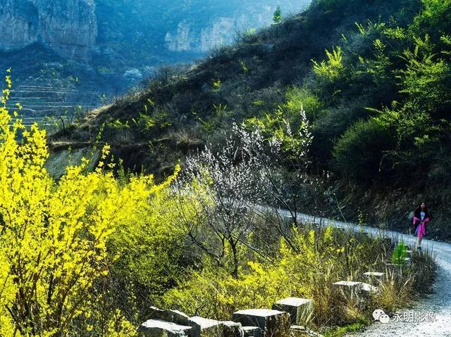 Life Partners News tweet media