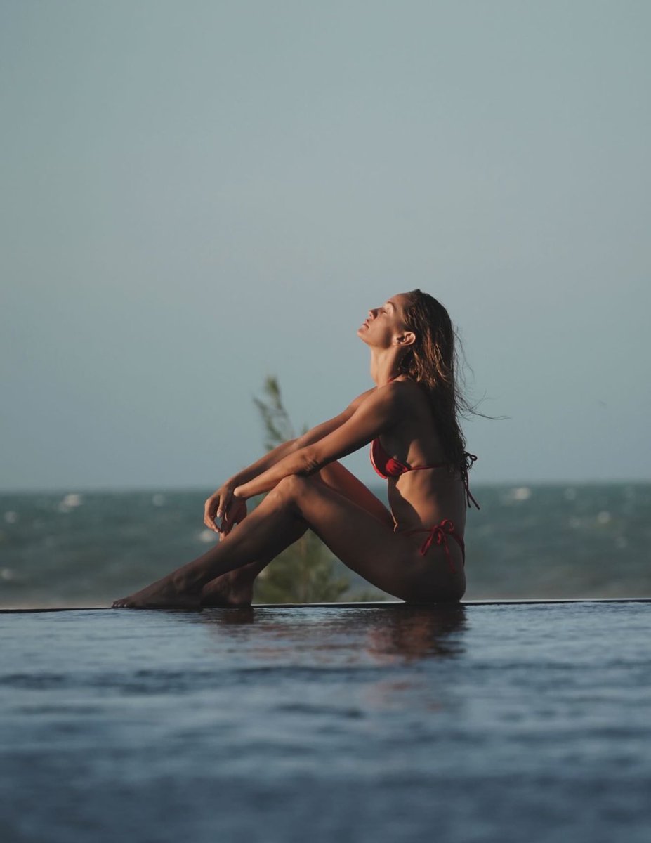 🌻 𝕾𝖔𝖑𝖊𝖎𝖑 🌻 tweet media