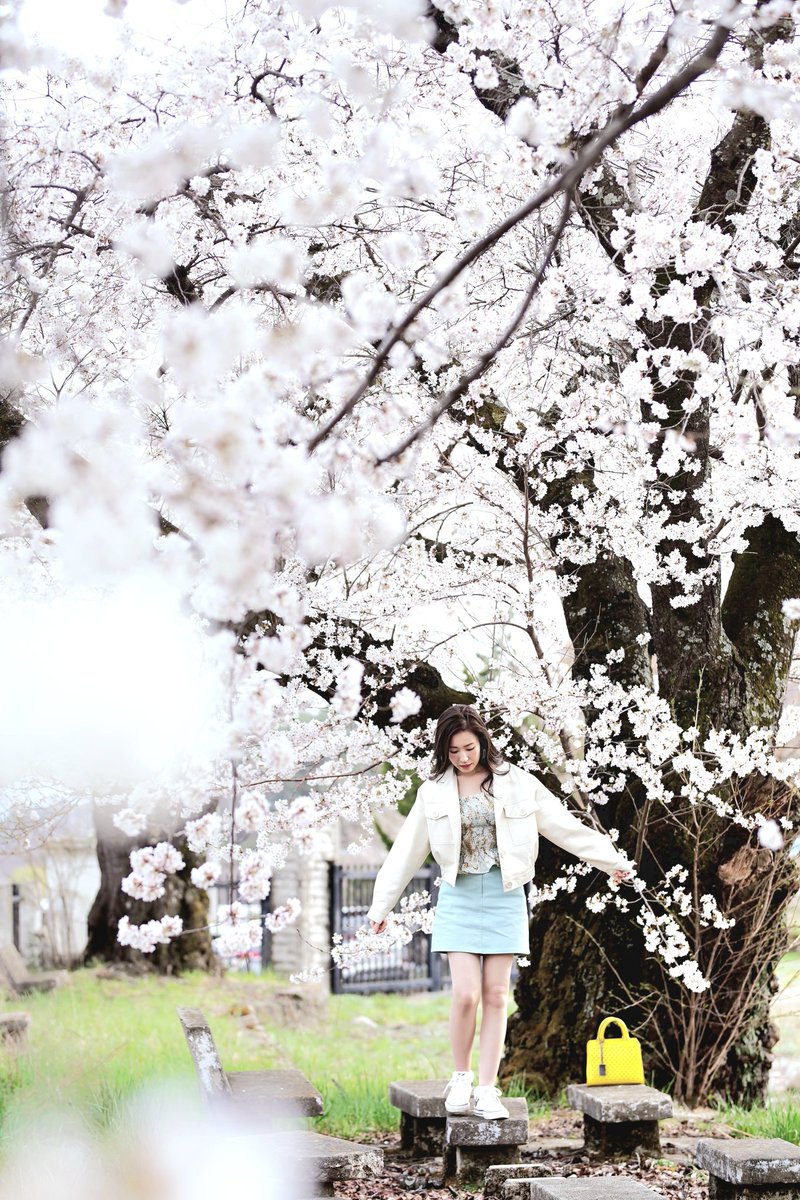 뷰티풀코리아 tweet media