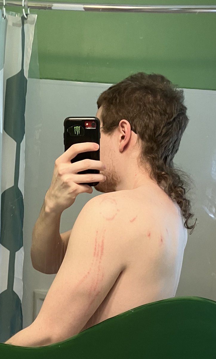 greensontoast tweet media