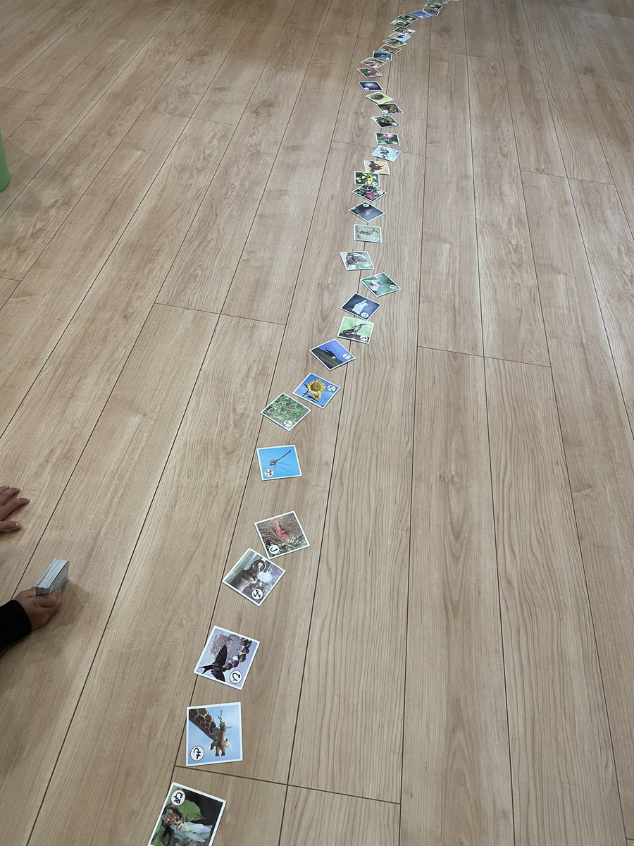 小猿にかるたしよ〜💕︎って言われたから見に行ったらこれでしぬ