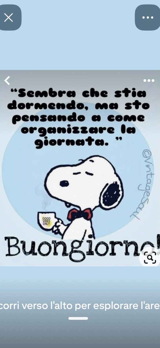 maria cristina lazzi tweet media