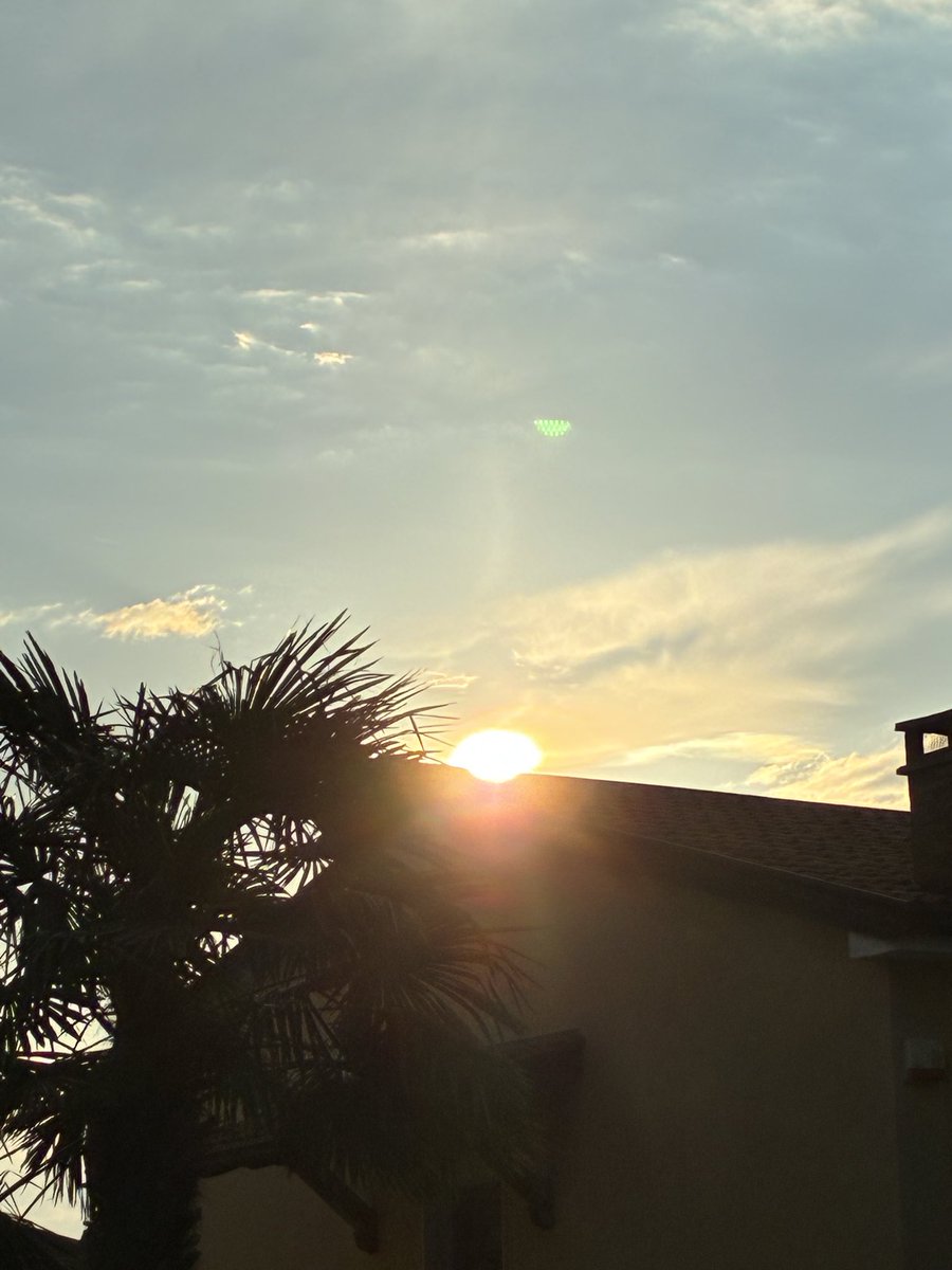 maria cristina lazzi tweet media