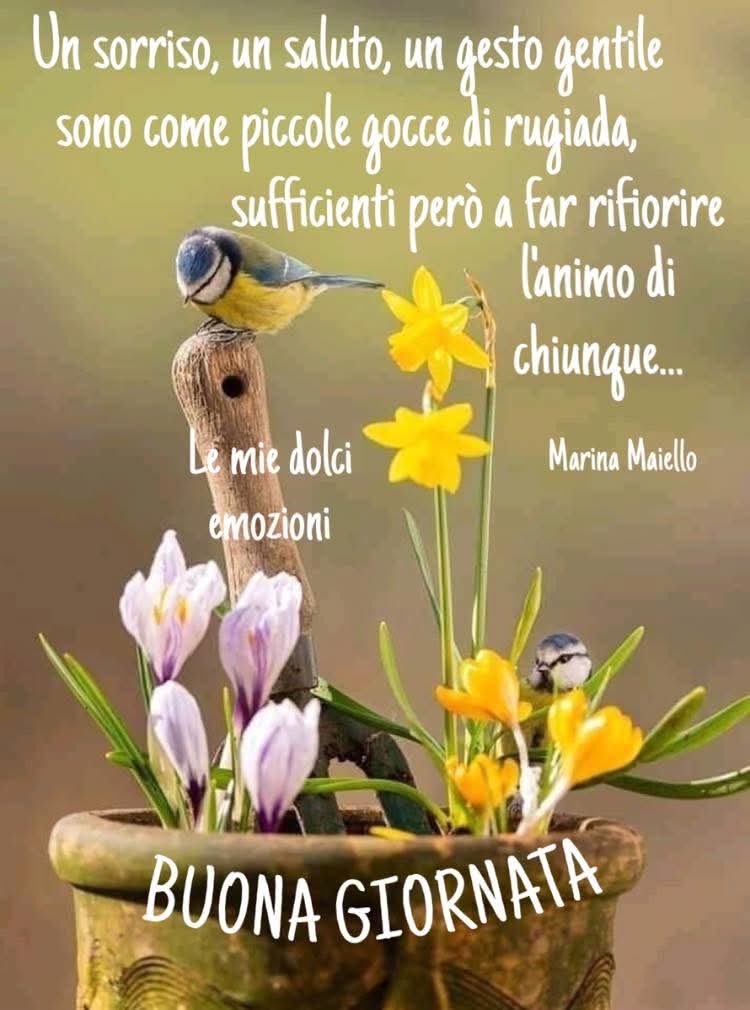 maria cristina lazzi tweet media