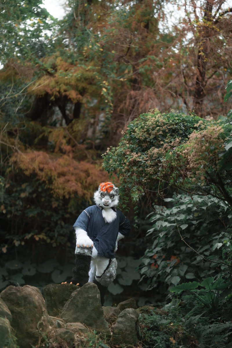 Arthsekiren's tweet photo. 🤍 @Doru_ST

#FursuitEveryday
#fursuitphotographer https://t.co/ThfASs1mAi