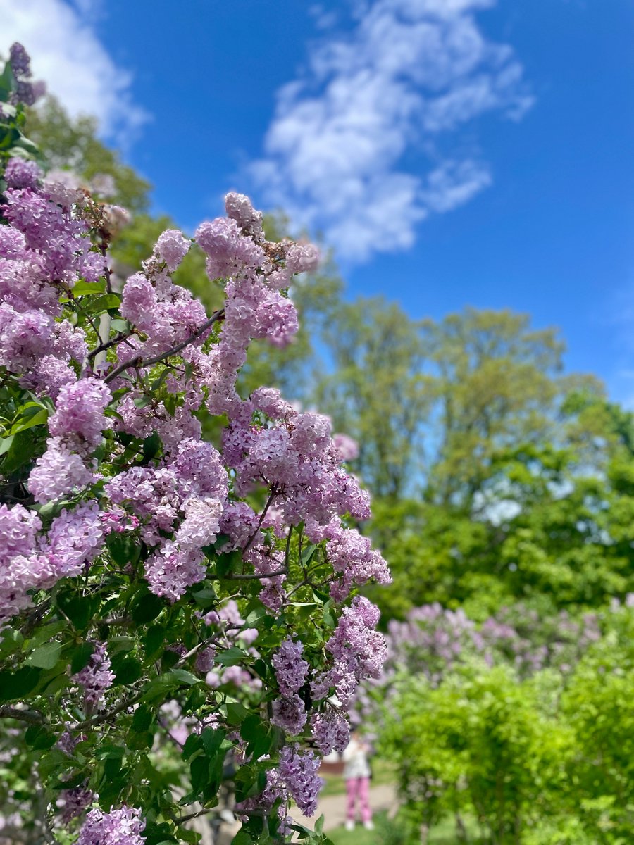 오대갈 tweet media