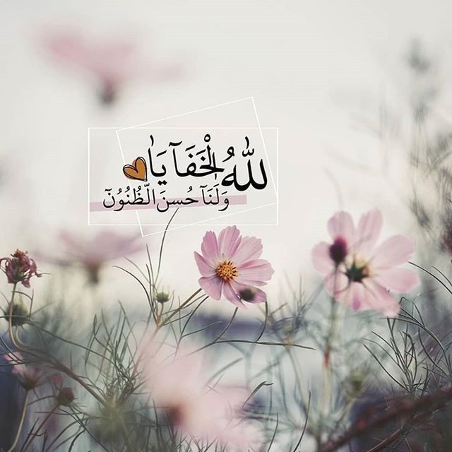 Badriya Alajmi tweet media