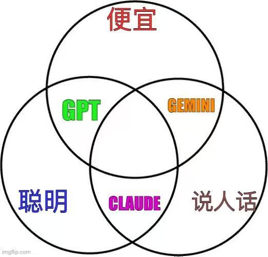 龙小羽🐱 tweet media