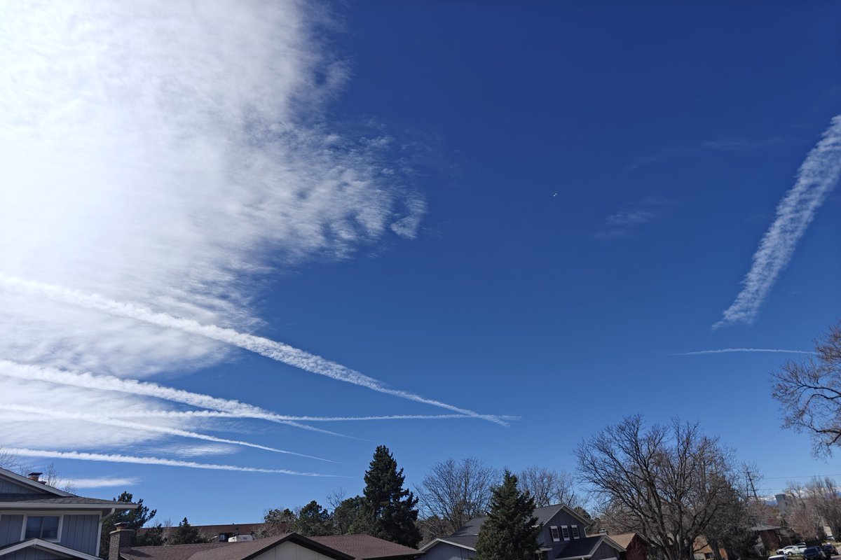 Phauncer Cryoy tweet media