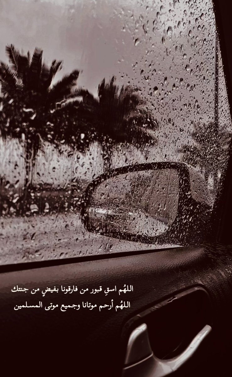 جودي tweet media