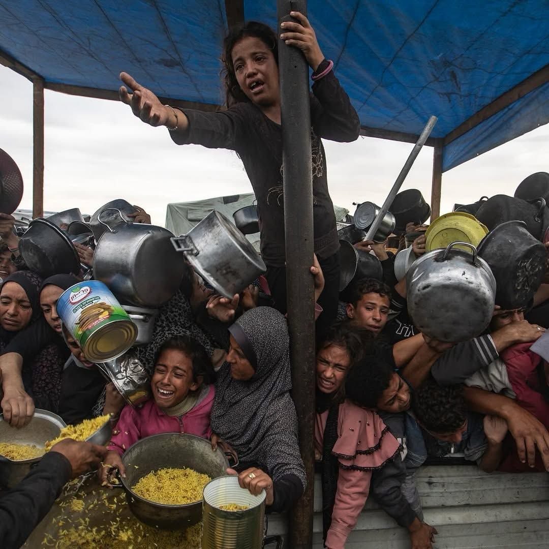 Mohamad Safa tweet media