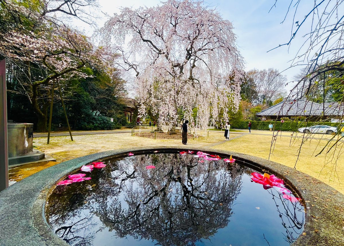 鈍足親父 tweet media