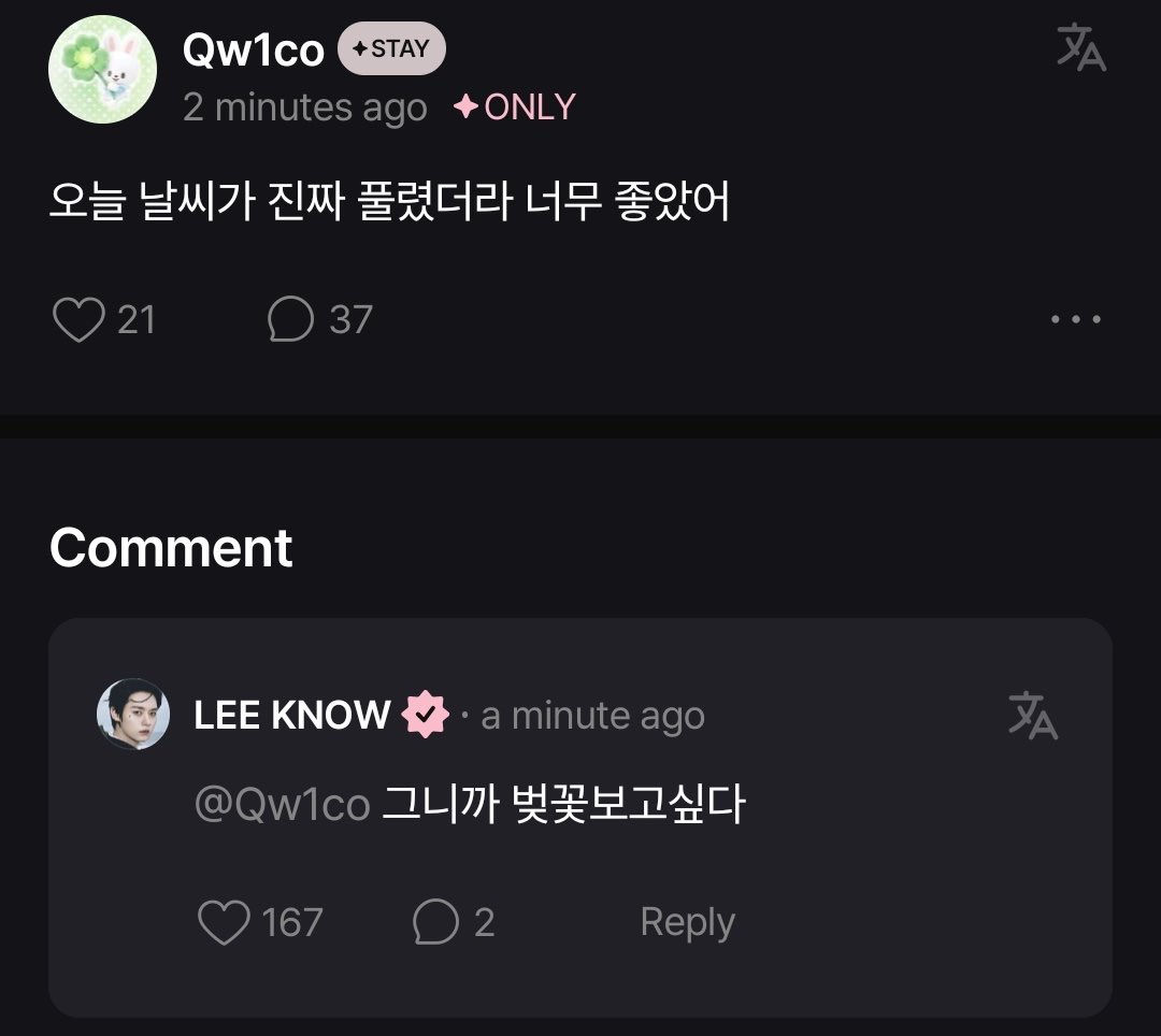 Lee Know Brazil • Bolhas tweet media