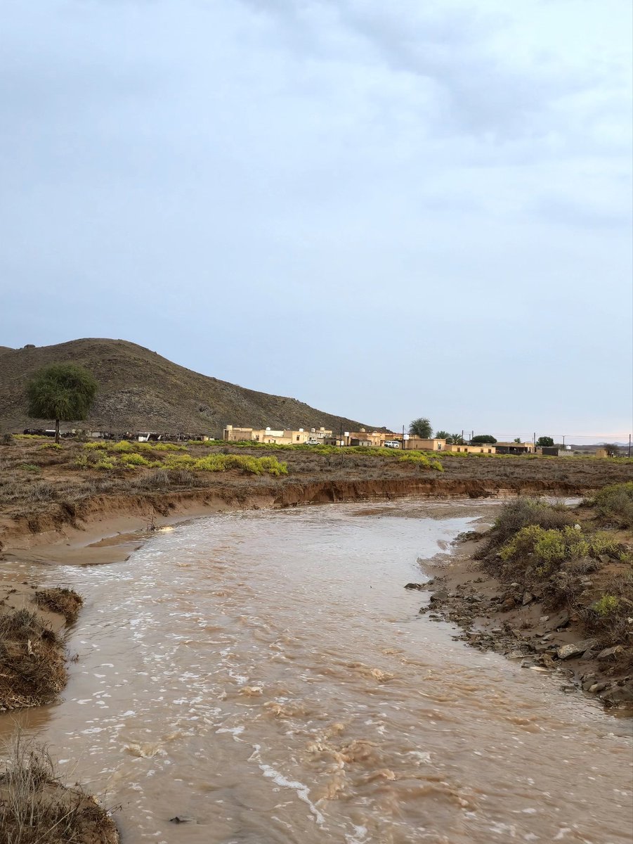 𝑺𝒂𝒍𝒆𝒎 𝑨𝒍_𝑺𝒖𝒏𝒂𝒊𝒅𝒆 tweet media