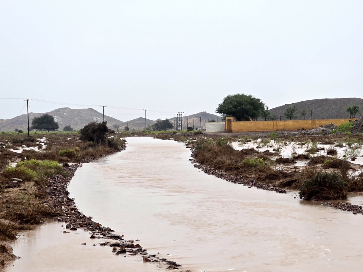 𝑺𝒂𝒍𝒆𝒎 𝑨𝒍_𝑺𝒖𝒏𝒂𝒊𝒅𝒆 tweet media