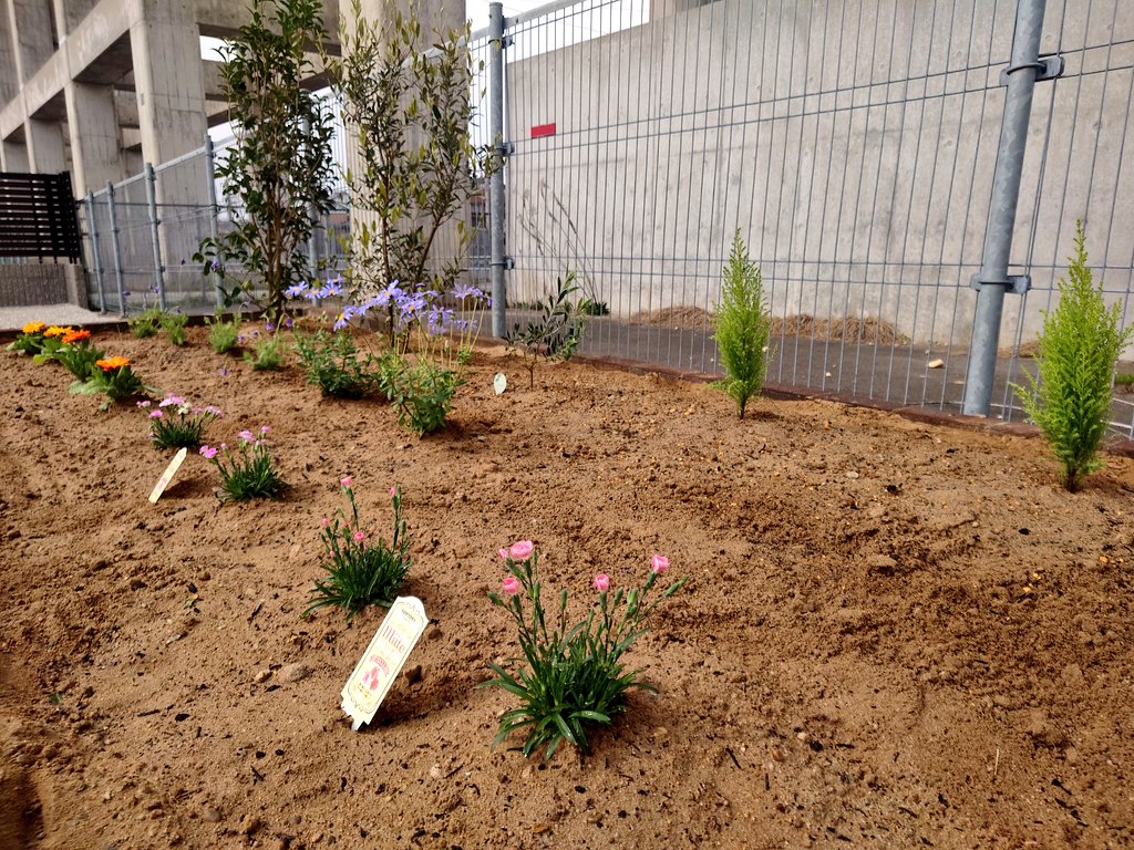 午前車2台タイヤ交換からの
午後はお庭いじり！！
今回は小さめの木と花を🌳🥀

やっと花壇らしくなってきた！
みんなすくすく大きくなーれ！！