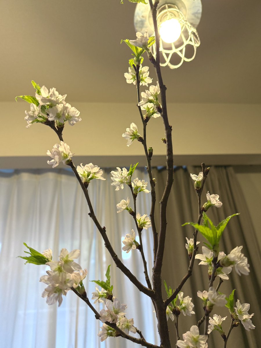 いぐち |コンセプトとデザイン tweet media