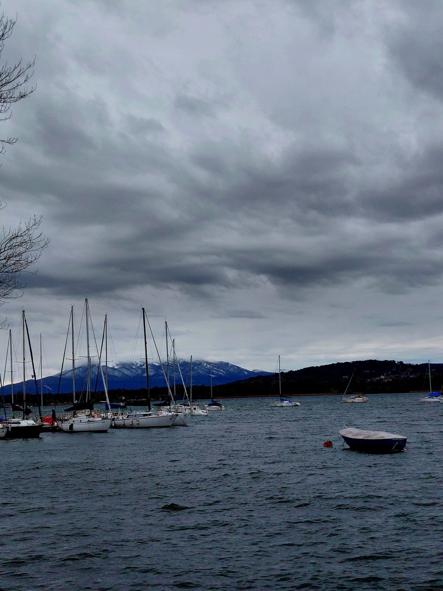 Gaetano Barbagallo tweet media