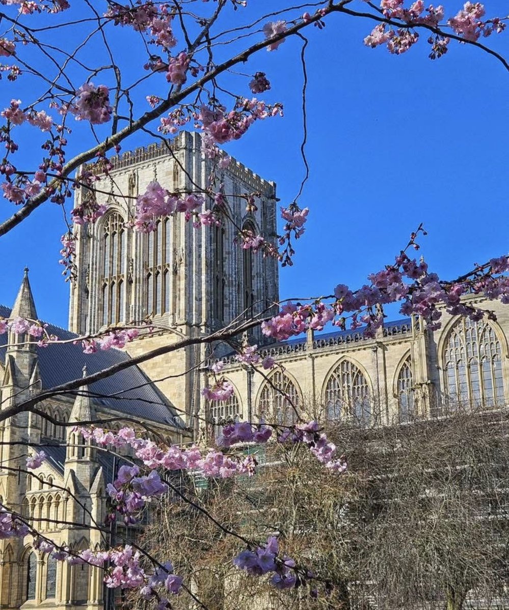 Sicilianomatt tweet media